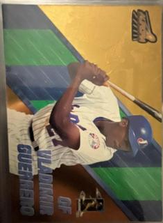 Vladimir Guerrero