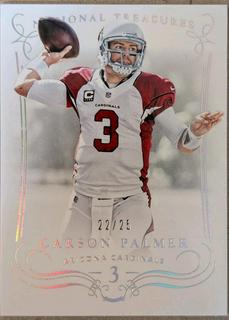 Carson Palmer