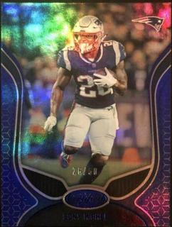 Sony Michel