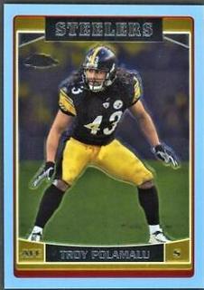 Troy Polamalu