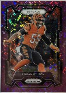 Logan Wilson