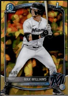 Max Williams