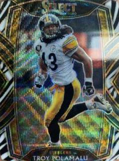 Troy Polamalu