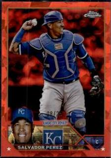 Salvador Perez