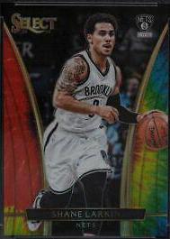 Shane Larkin