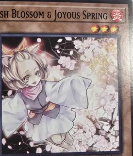 Ash Blossom & Joyous Spring L5DD-ENC09