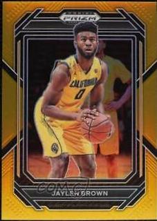 Jaylen Brown