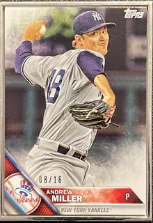 Andrew Miller