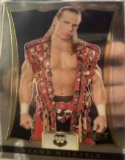 Shawn Michaels #8 Wrestling Cards 2024 Panini Select WWE Throwback