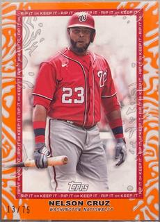 Nelson Cruz