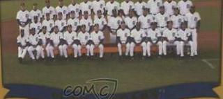Detroit Tigers