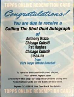 Anthony Rizzo / Pat Hughes
