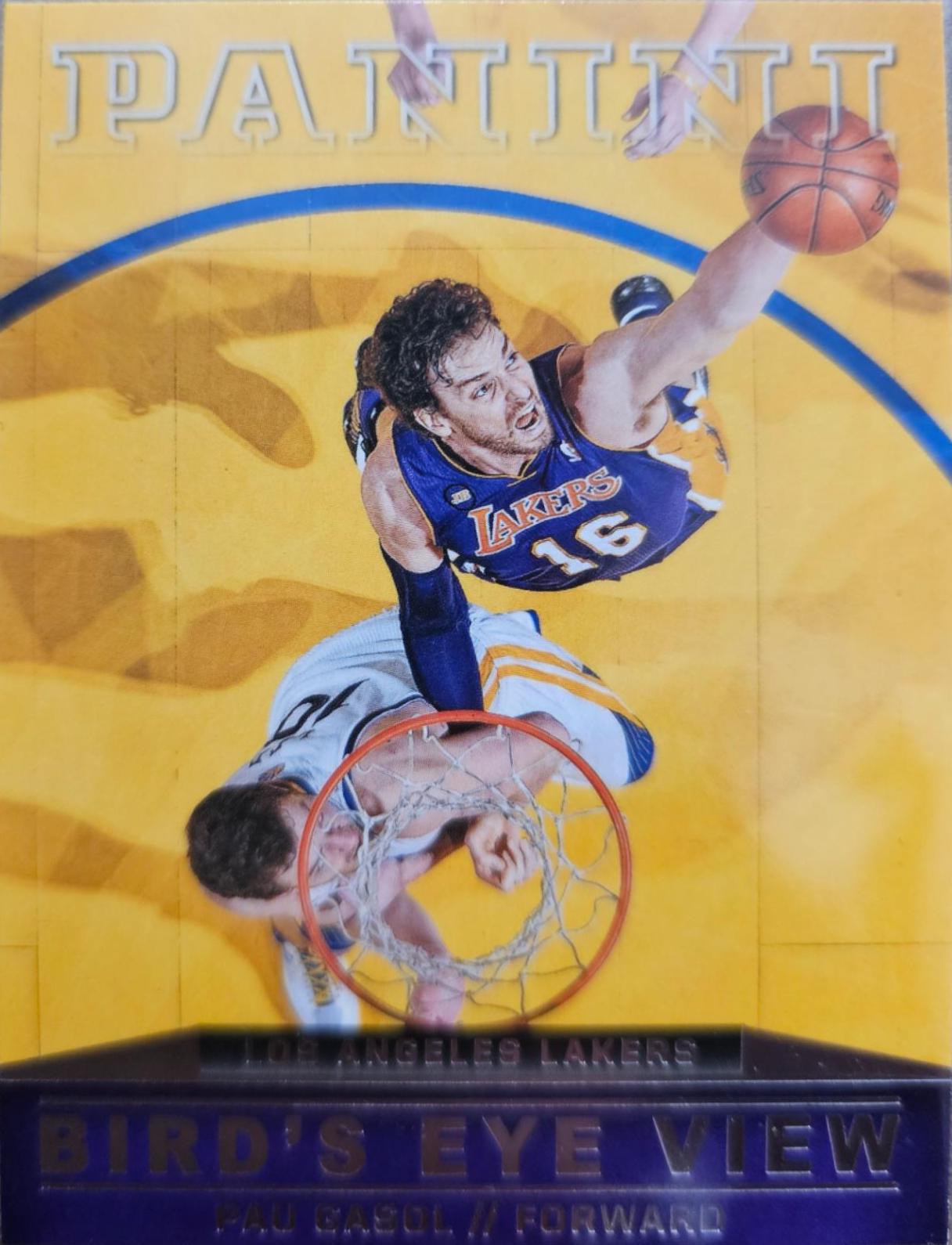 Pau Gasol #4 Basketball Cards 2013 Panini Bird's Eye View