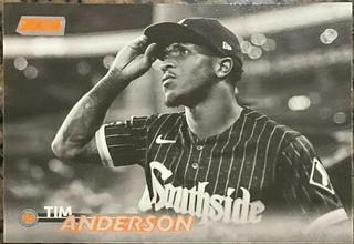 Tim Anderson