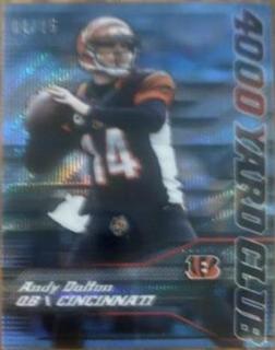 Andy Dalton