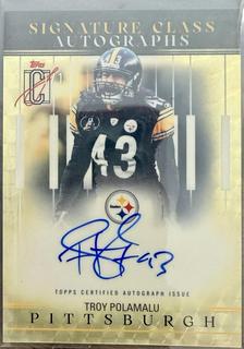Troy Polamalu