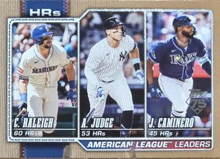 American League Leaders HRs