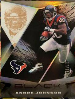 Andre Johnson