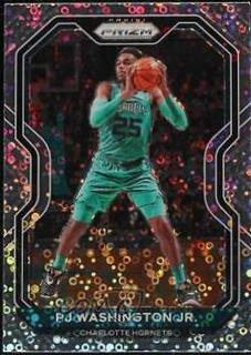PJ Washington Jr.