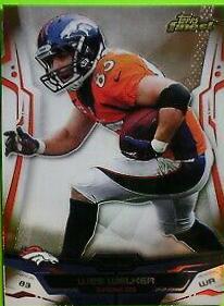 Wes Welker