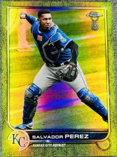 Salvador Perez