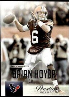 Brian Hoyer