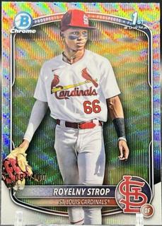Royelny Strop