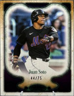 Juan Soto