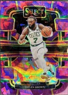 Jaylen Brown