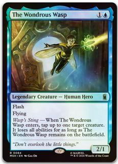 The Wondrous Wasp