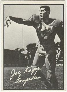 Joe Kapp