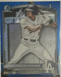 Landyn Vidourek