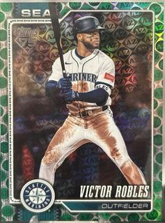 Victor Robles