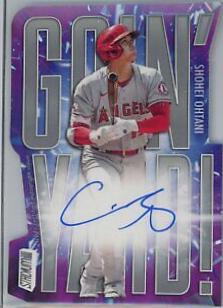 Shohei Ohtani
