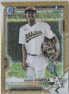 Pedro Pineda