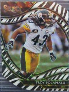 Troy Polamalu