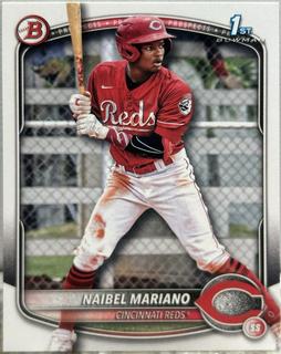 Naibel Mariano