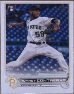 Roansy Contreras
