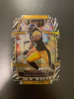 Troy Polamalu