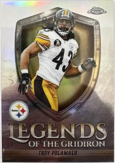 Troy Polamalu