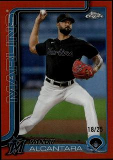 Sandy Alcantara