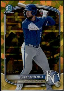 Blake Mitchell