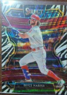 Bryce Harper