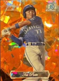 Case Williams