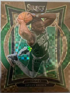 Jaylen Brown