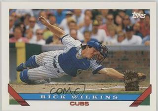Rick Wilkins