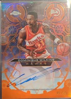 Dominique Wilkins