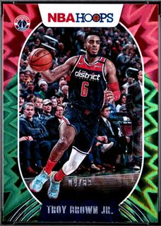 Troy Brown Jr.
