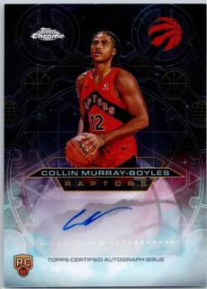 Collin Murray-Boyles