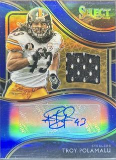 Troy Polamalu